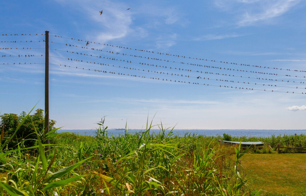 Aktivitäten nahe Møn Strandcamping - Stege