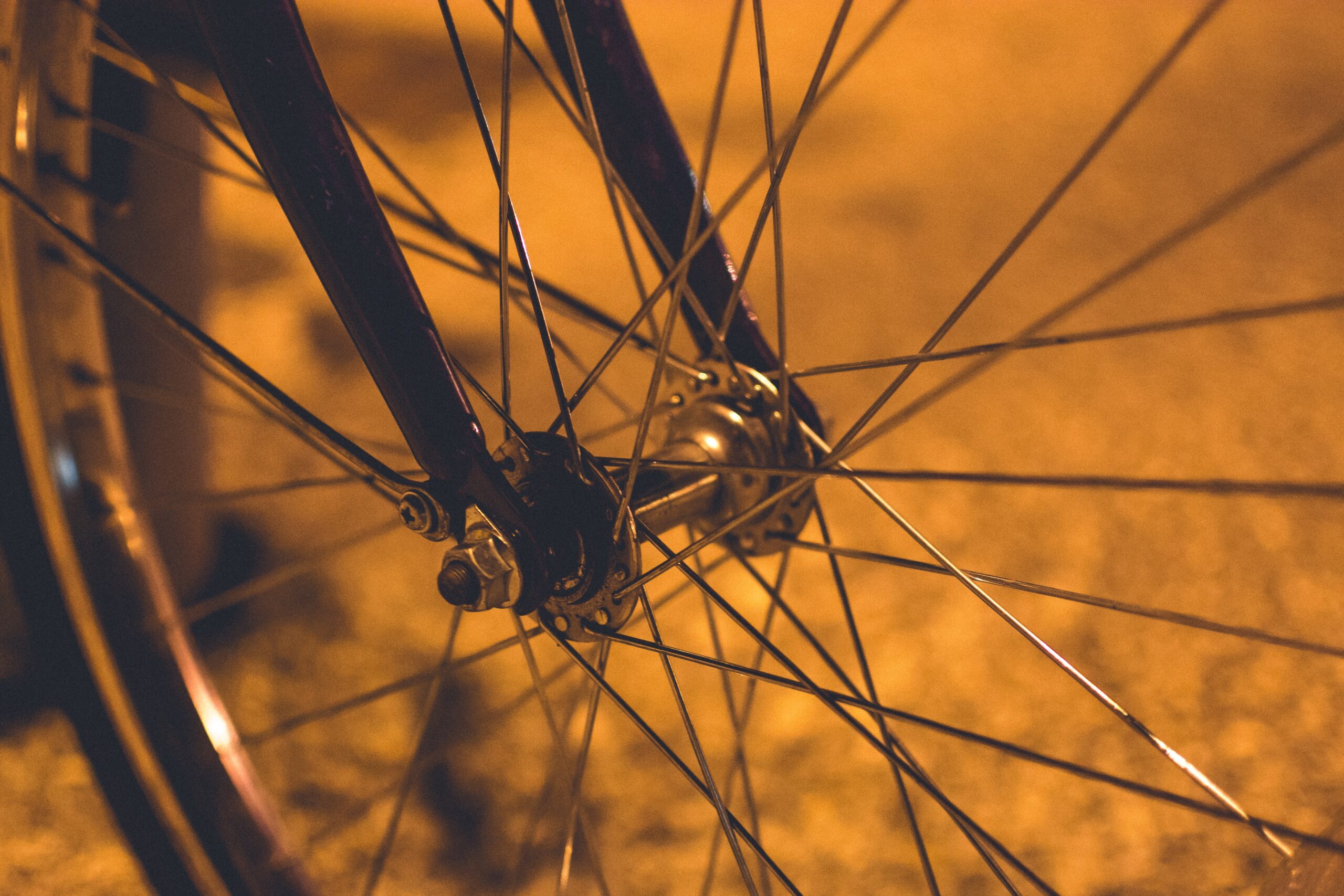 pietro-de-grandi-TDFtL-teb5c-unsplash